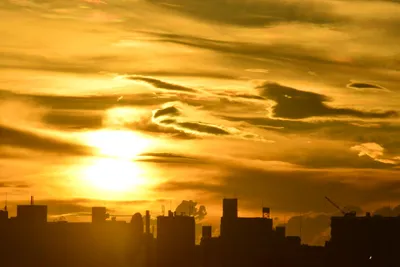 DSC_3810 (Large).JPG